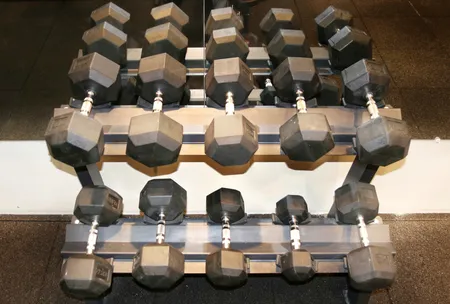 דאמבלים 2.5 ק״ג - 50 ק״ג