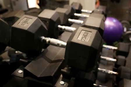 דאמבלים 2.5 ק״ג - 50 ק״ג